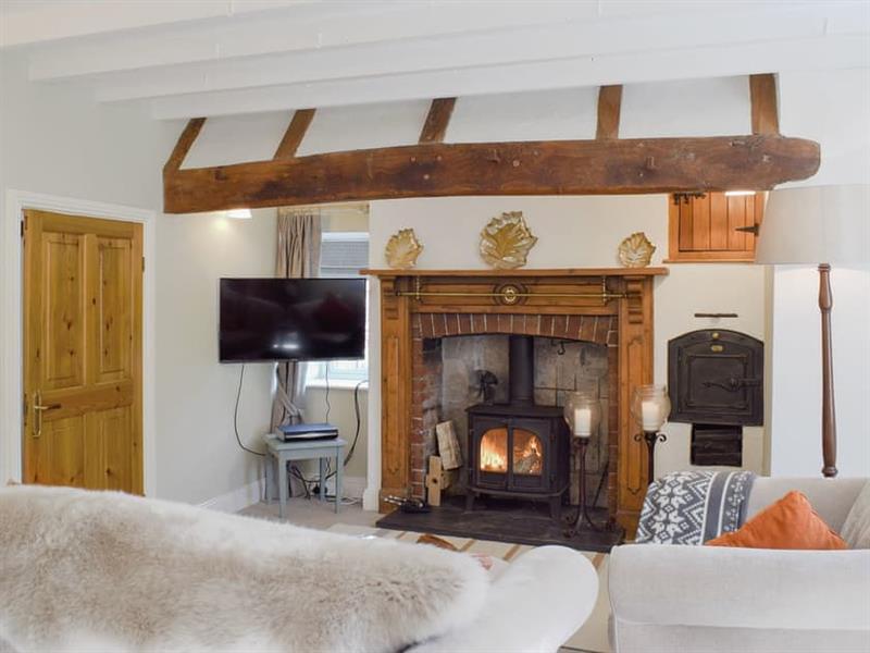 Pantmeddyg Farm - Pantmeddyg in Cwmsychbant, near Llanybydder, Cardigan - sleeps 5 people