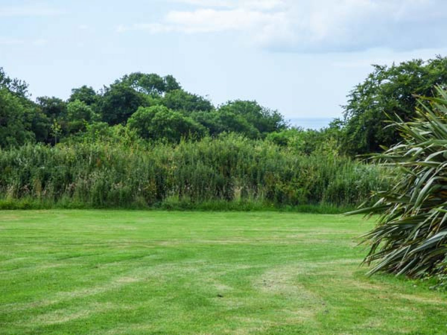 Broom Cottage from Sykes Holiday Cottages. Broom Cottage is in
