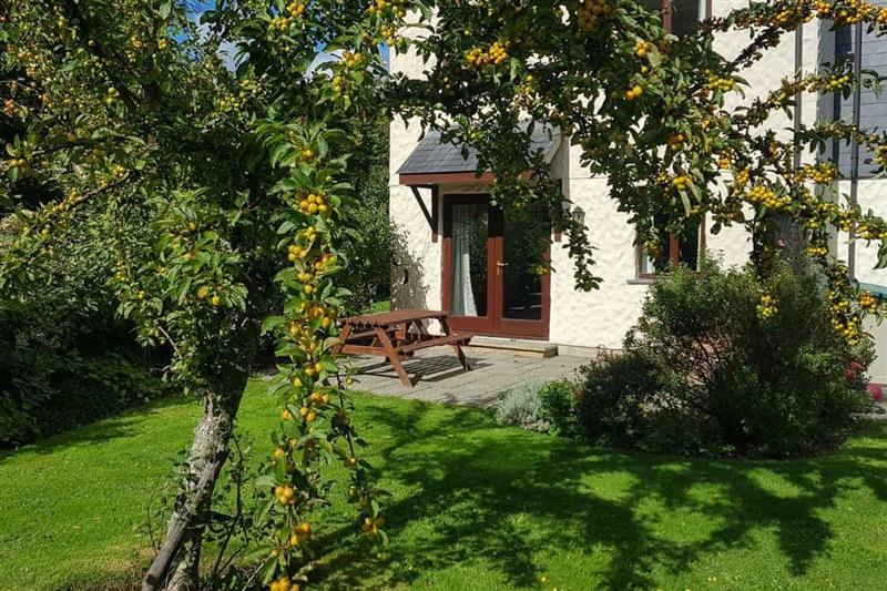 Daisy Cottage from Cottages 4 You. Daisy Cottage is in Falmouth