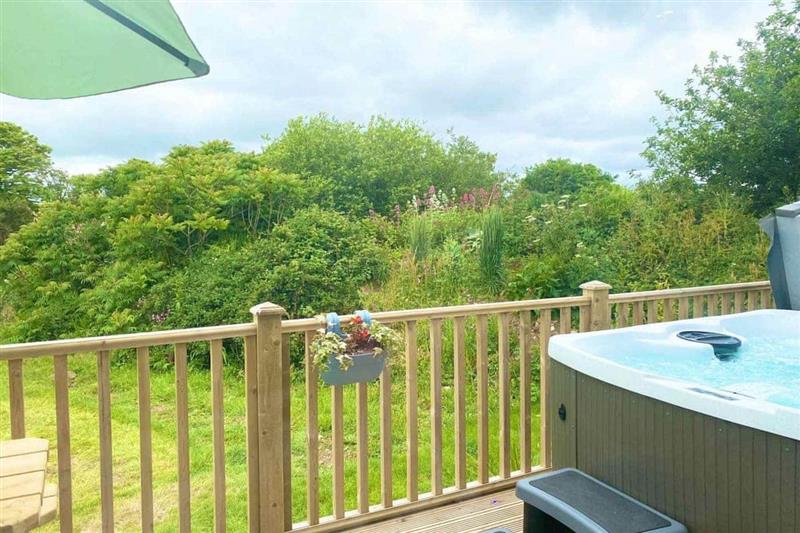 Lusty from Cottages 4 You. Lusty is in Perranporth, Cornwall Pet