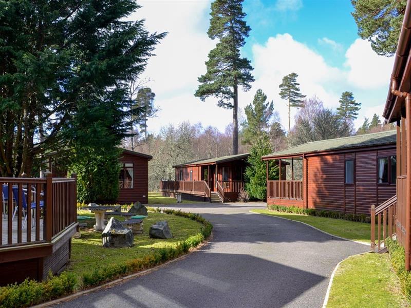 Royal Deeside Woodland Lodges Lodge B from Cottages 4 You. Royal